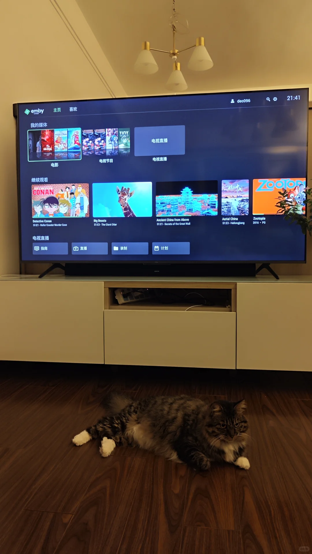 TCL 65Q9K 应用软件