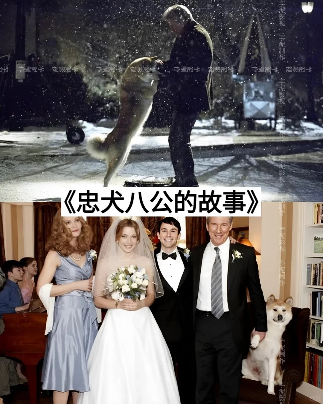 码住‼️人生必看的电影🆘真的绝了‼️