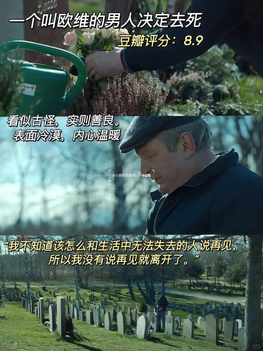 精神内耗自救！10部治愈神片清单✨