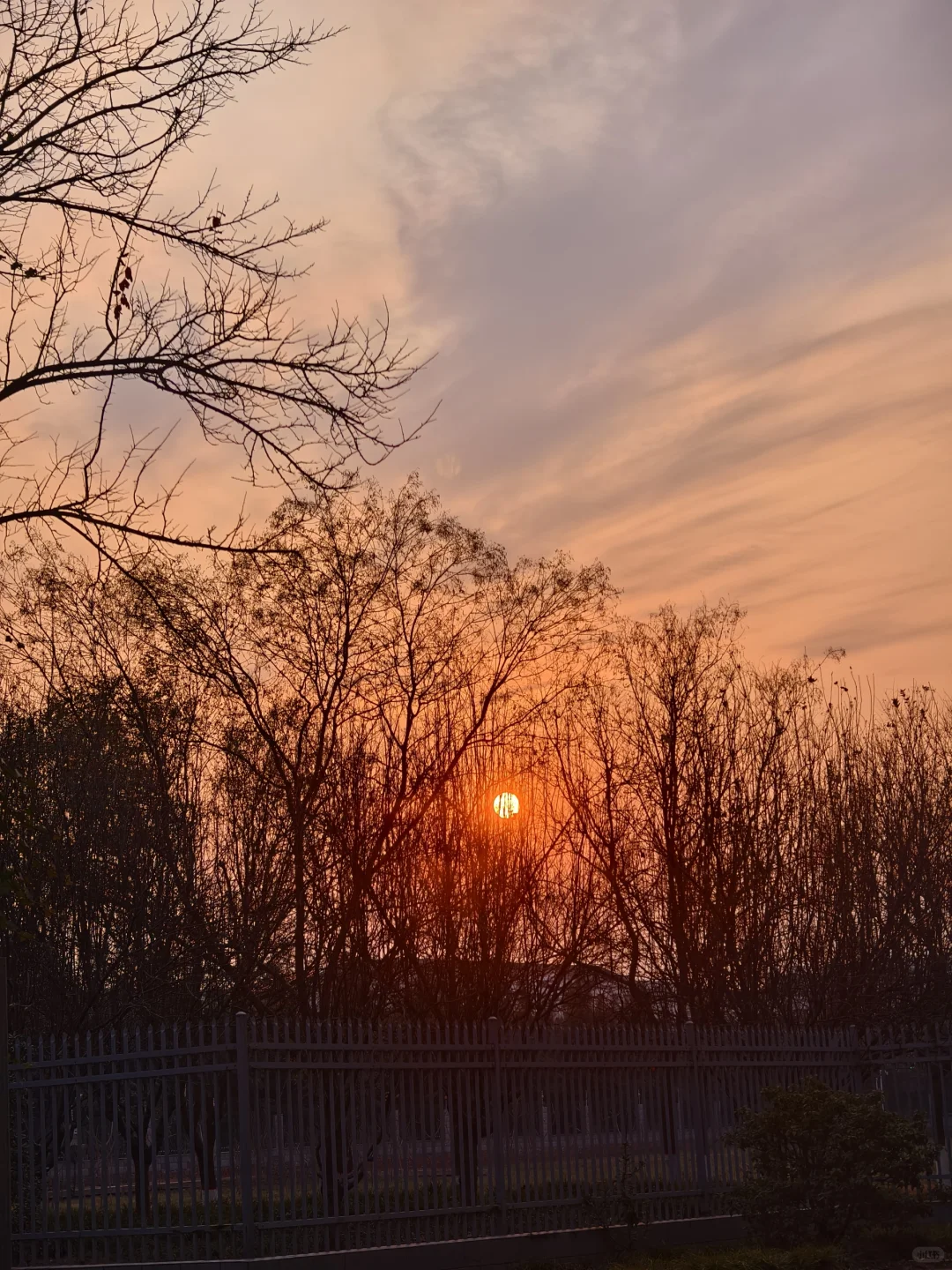 洛师各个学院咨询电话