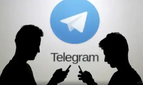 11 Telegram—每天1家【胡润全球独角兽榜】