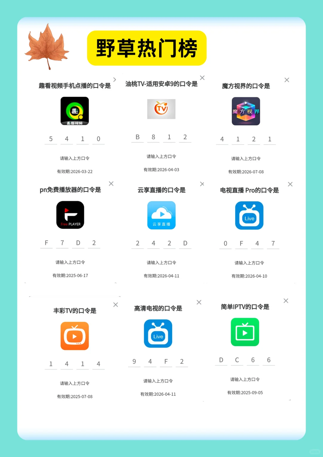 99的人不知道的野草口令组合码，实时更新