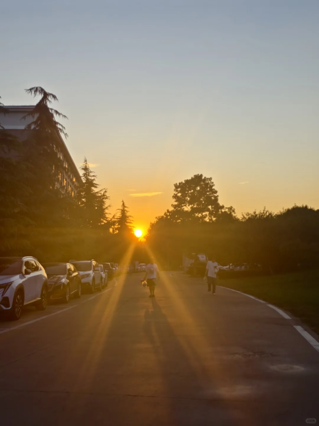 洛师各个学院咨询电话