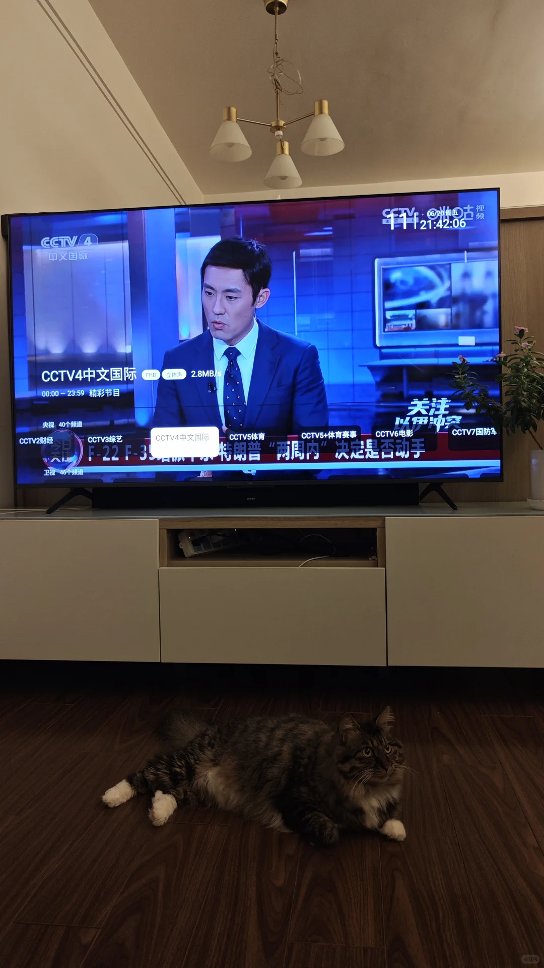 TCL 65Q9K 应用软件