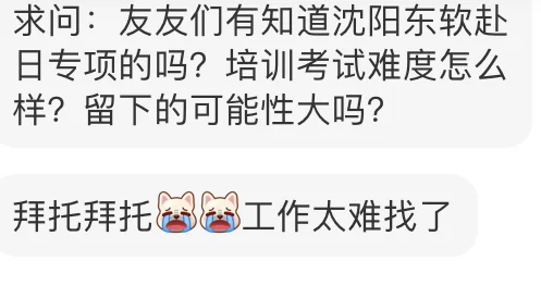 大连软件行业新瓜