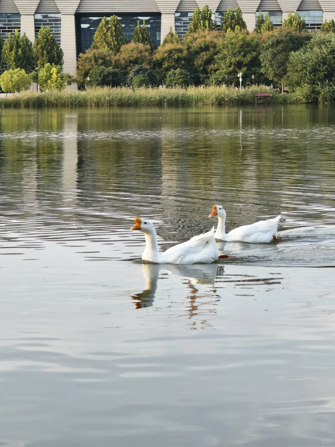 洛师各个学院咨询电话