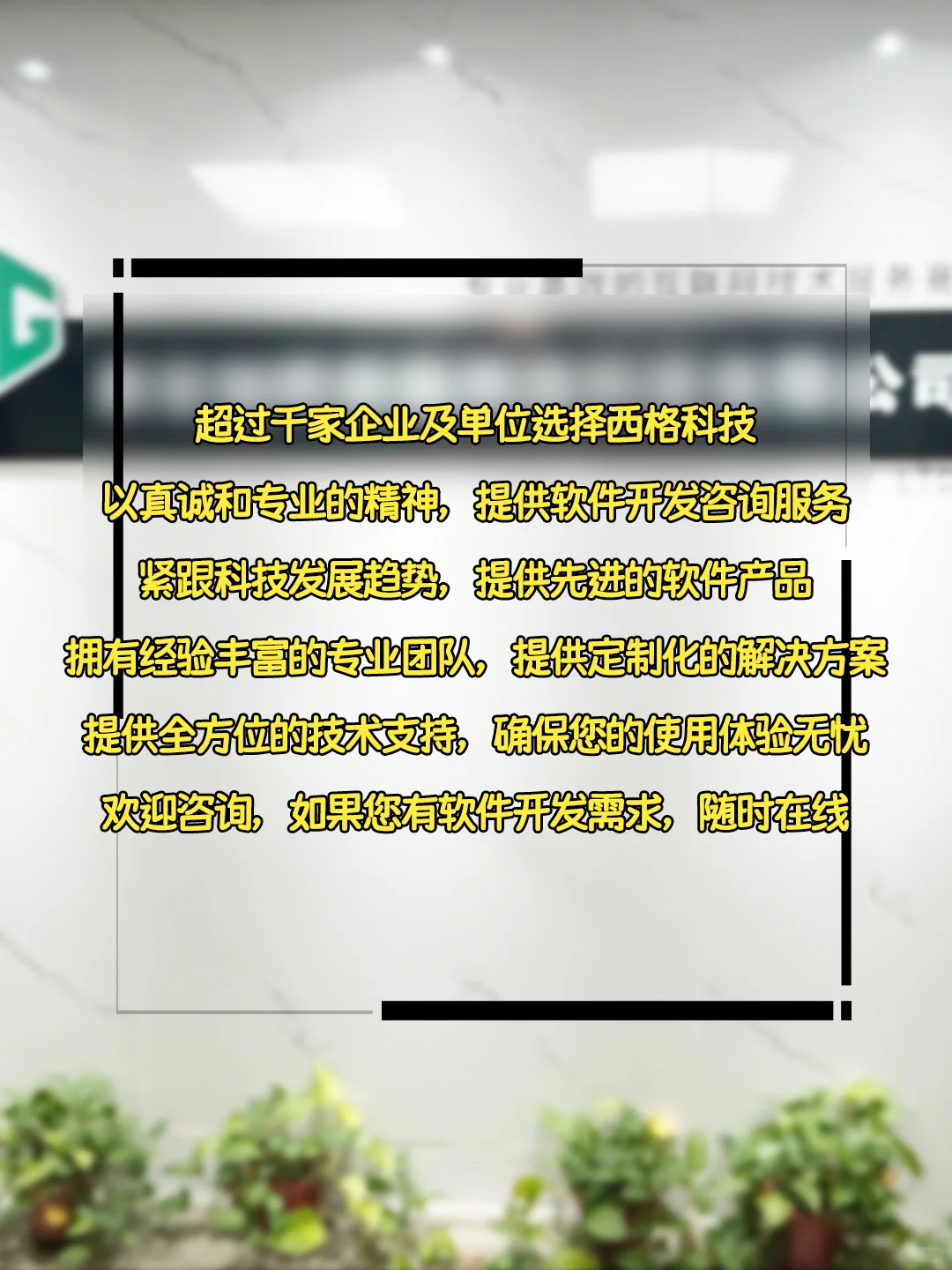 坐标西安，一家靠谱的软件公司自我介绍。
