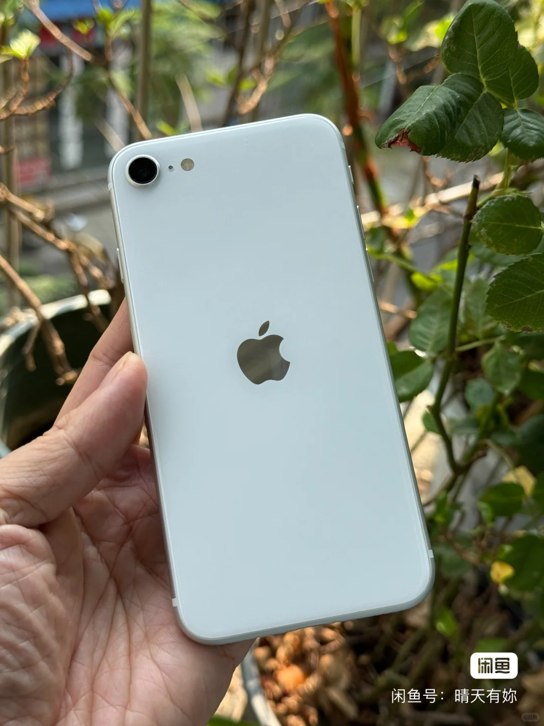 iphonese2，稀缺JDI的LCD屏，极品ios 16.5系