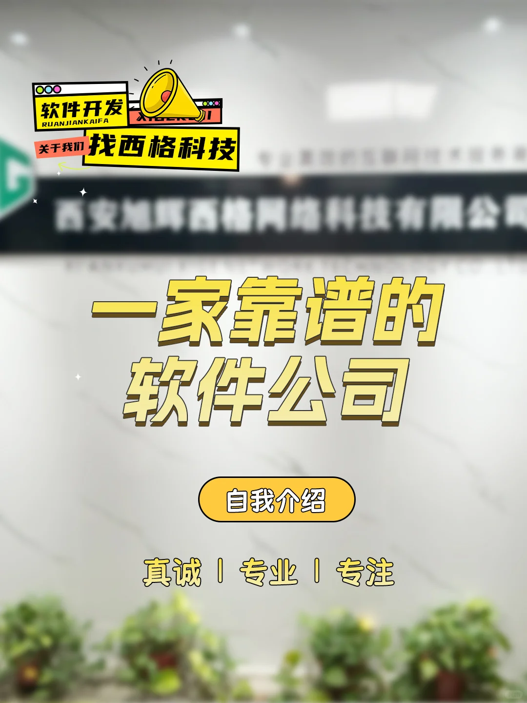 坐标西安，一家靠谱的软件公司自我介绍。