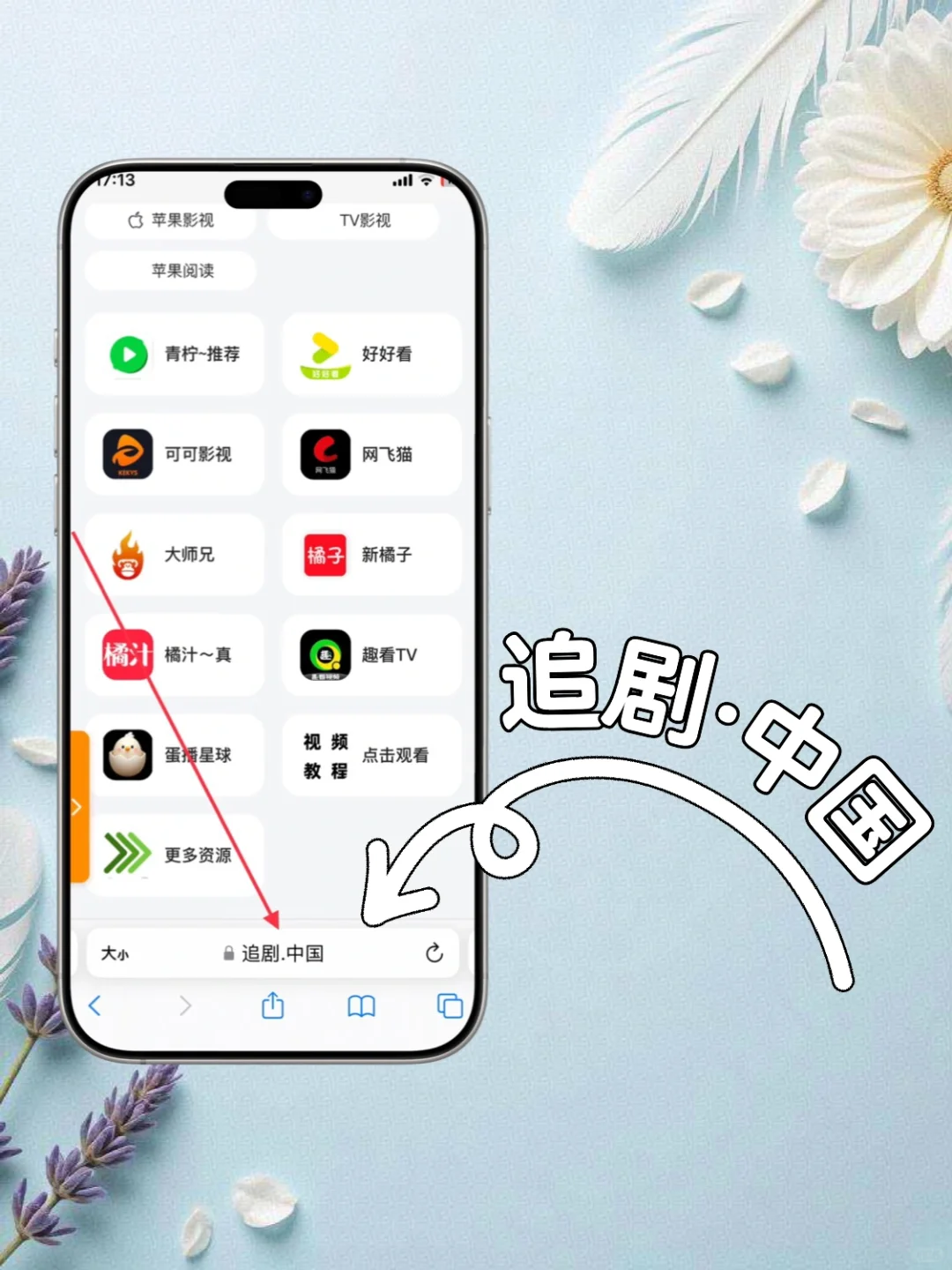 发现一个追剧应用大全