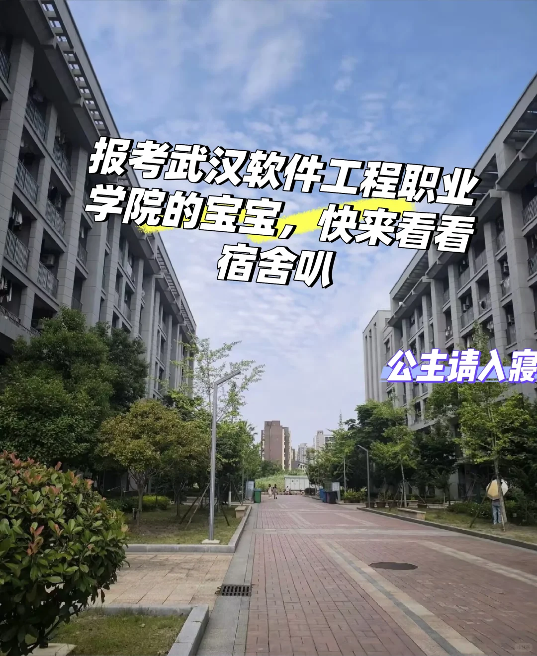 武汉软件工程职业学院都是6人寝？