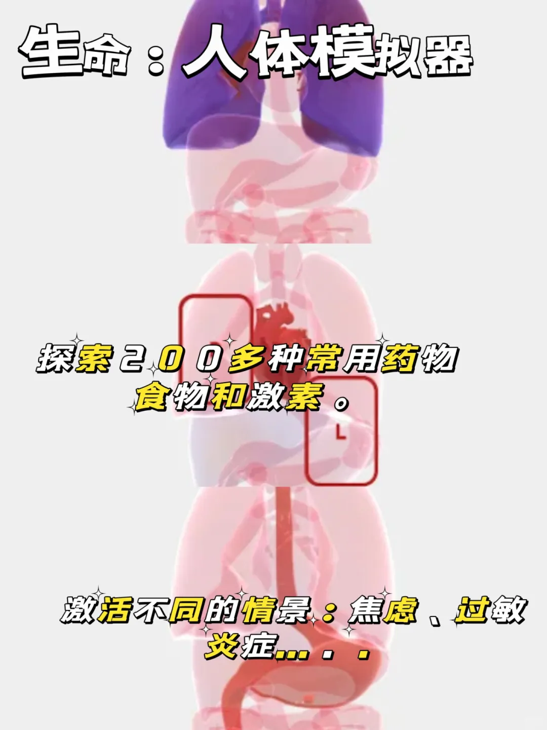 走进科学小实验游戏推荐💡