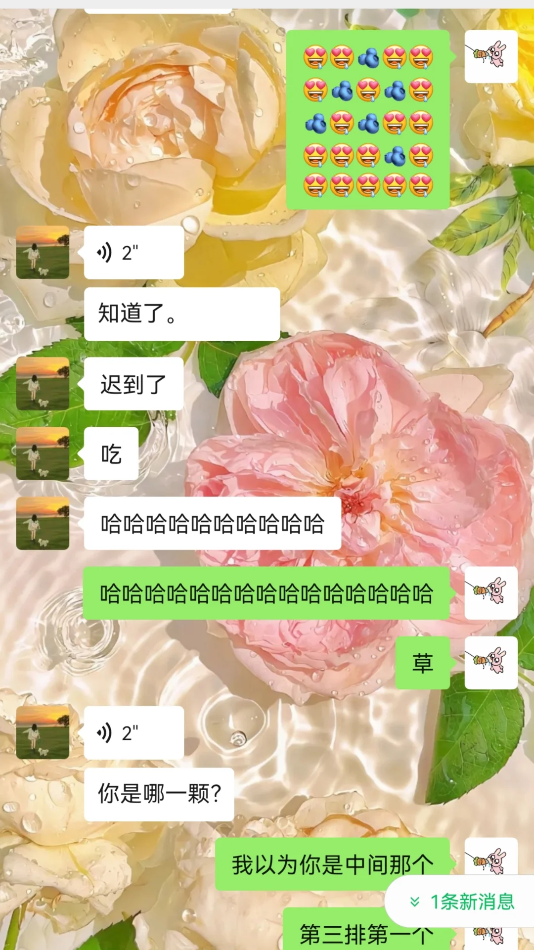 不是这也太好玩了