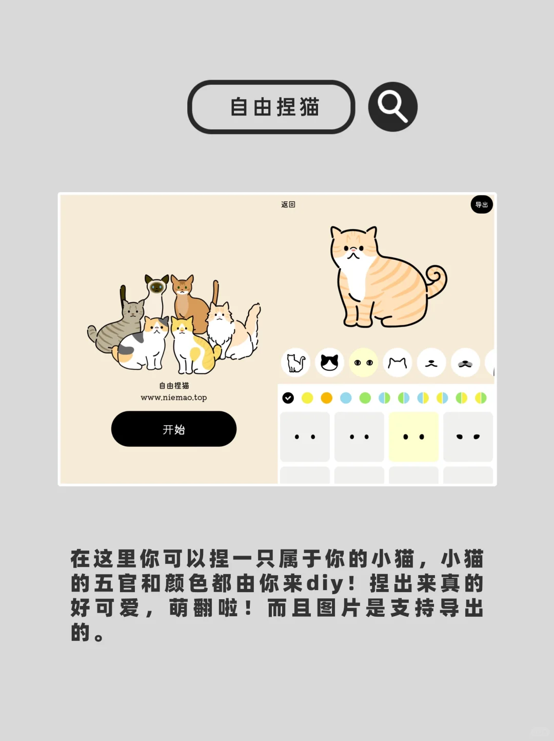 10个稀奇古怪的🕸️站，每个都能玩上一天！