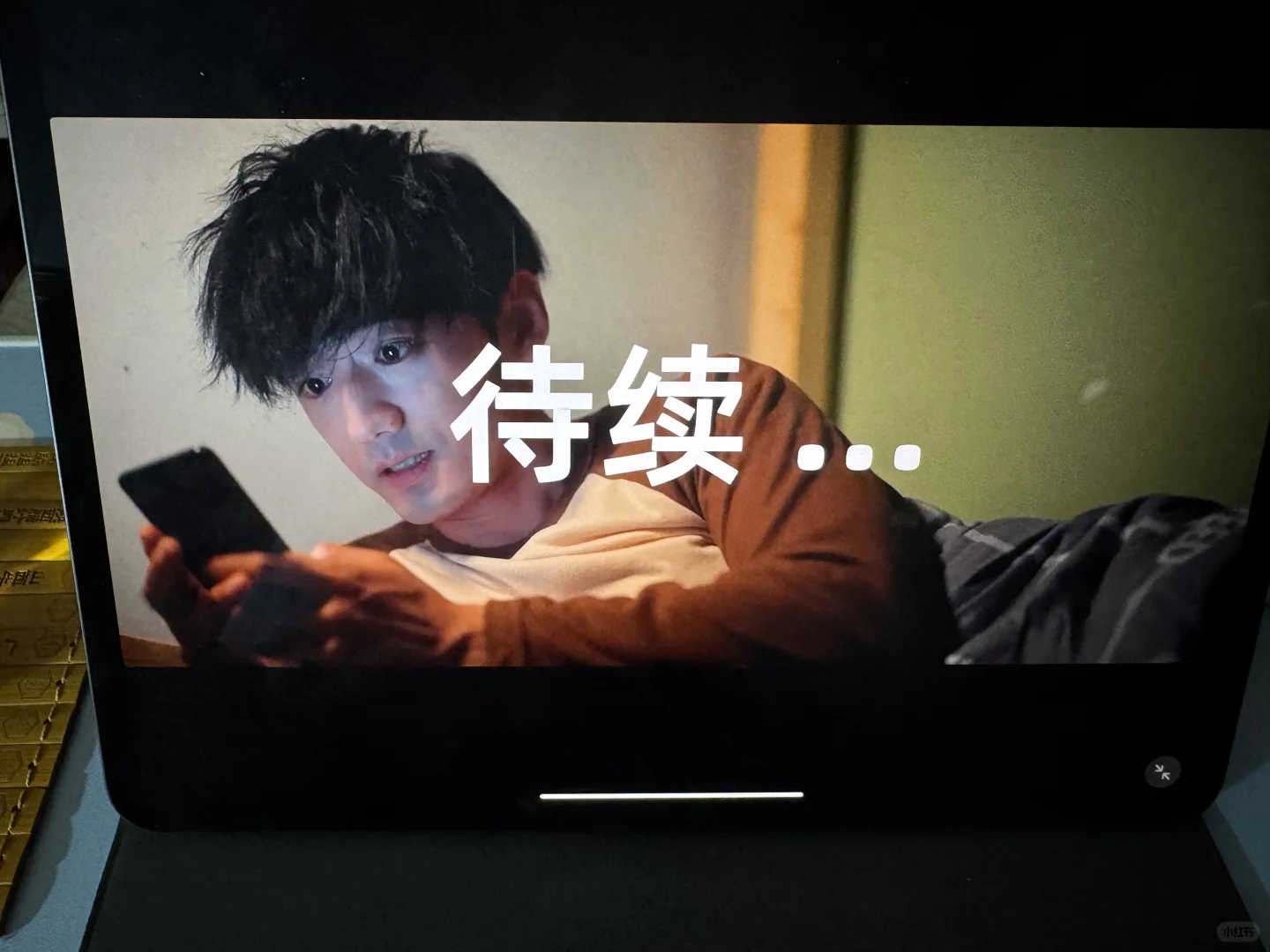 不要下载IOS的「情感反捞模拟器」，苹果已退款