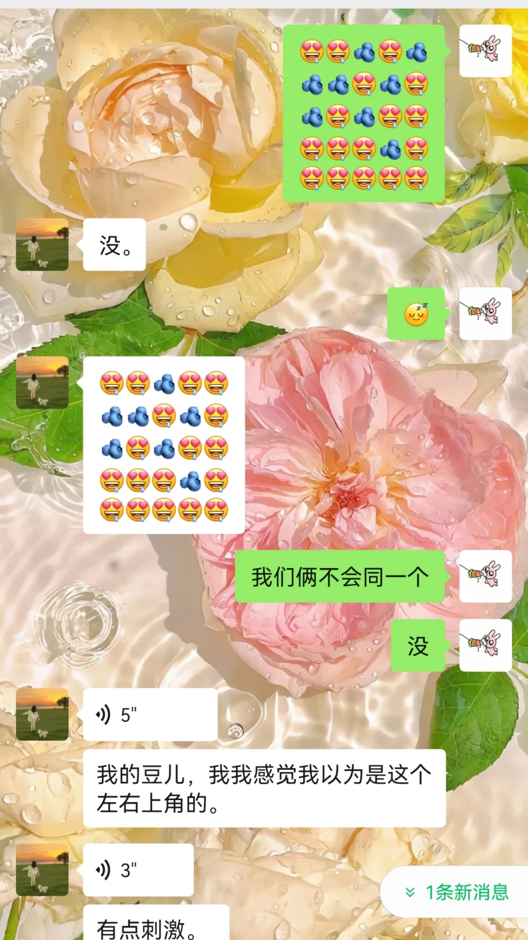 不是这也太好玩了