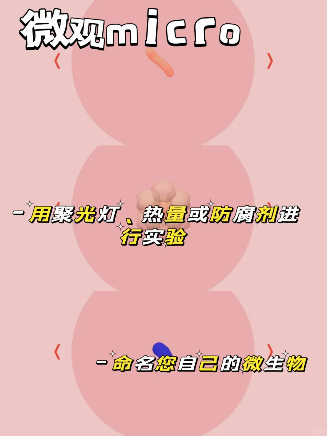 走进科学小实验游戏推荐💡