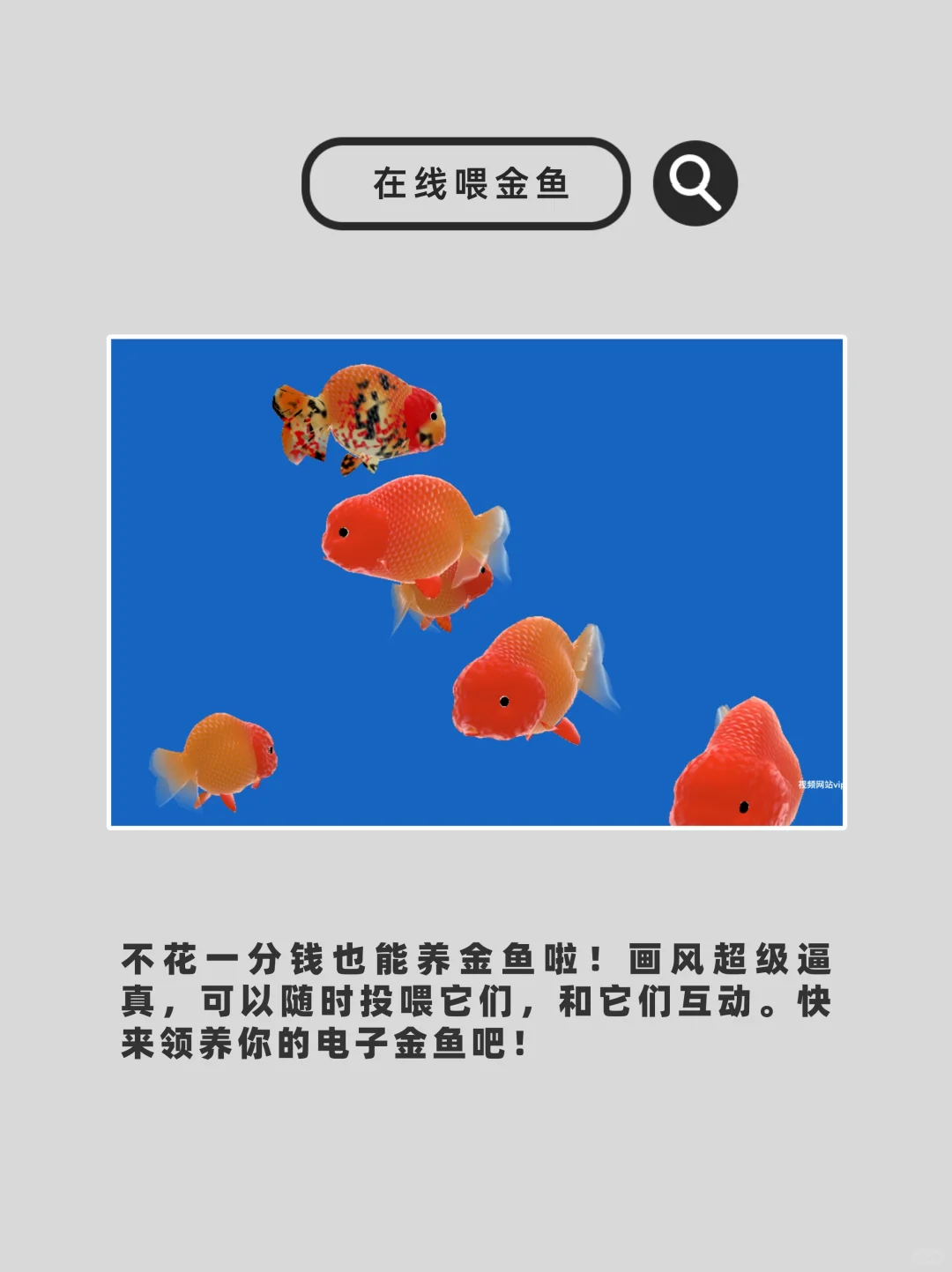 10个稀奇古怪的🕸️站，每个都能玩上一天！