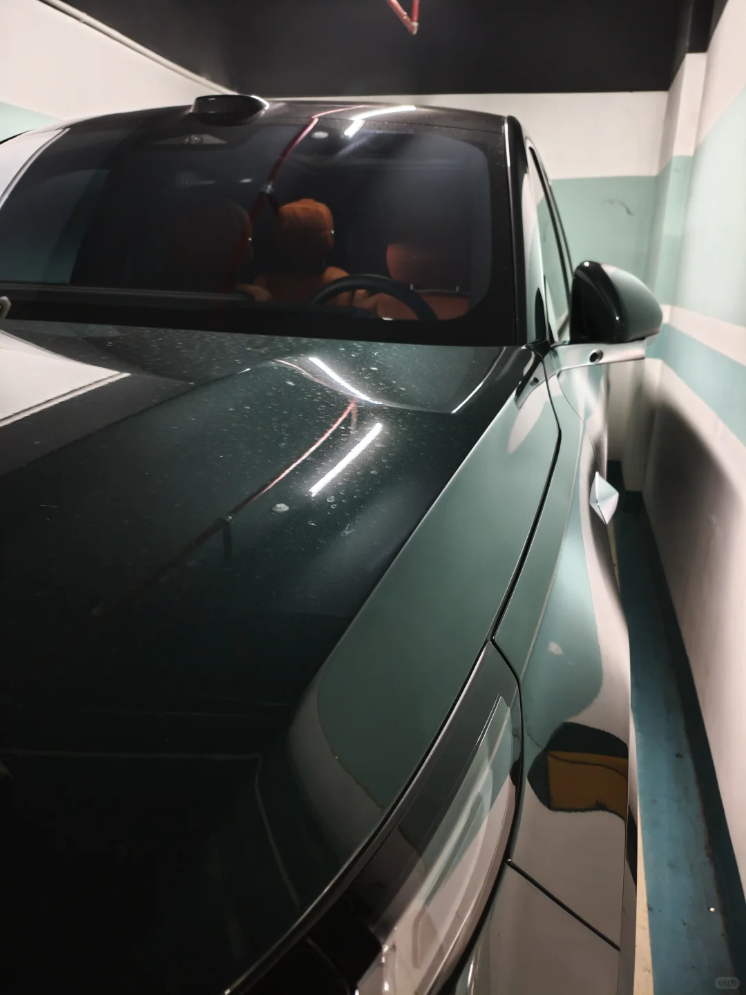 小理同学满月拉