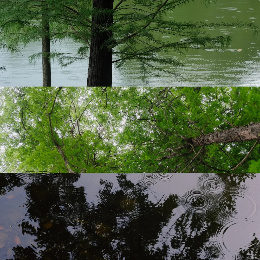 富士相机必备的手机宝藏App😲