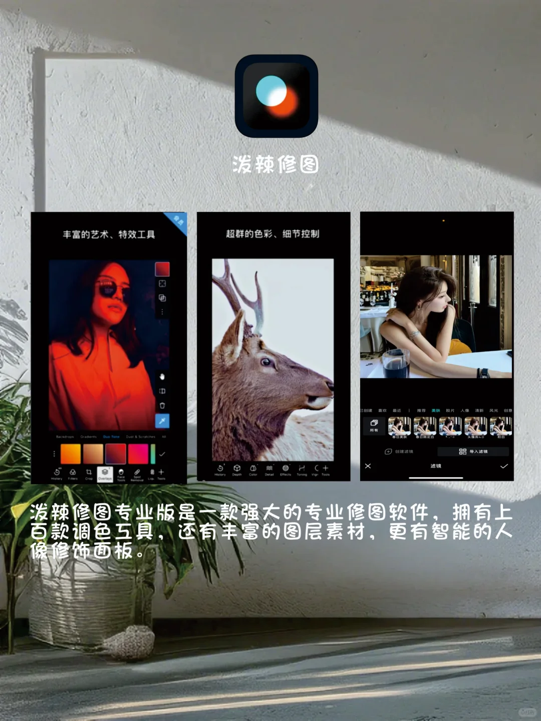 打死不卸载,6个冷门又好用的APP