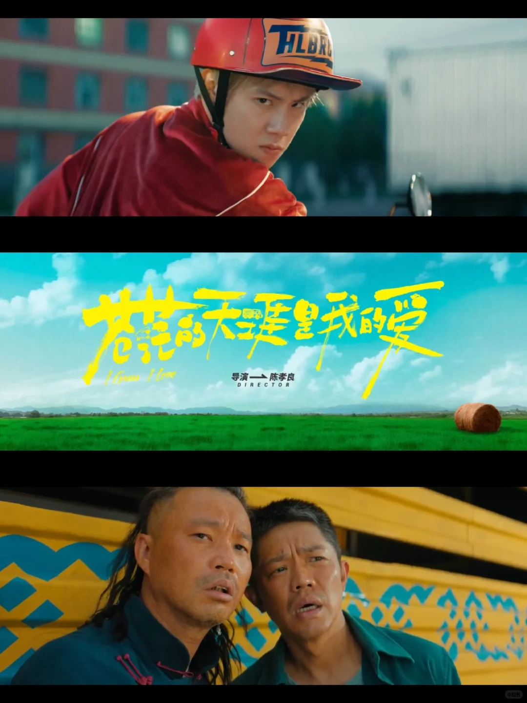 挑战看完100部电影：第3️⃣1️⃣部