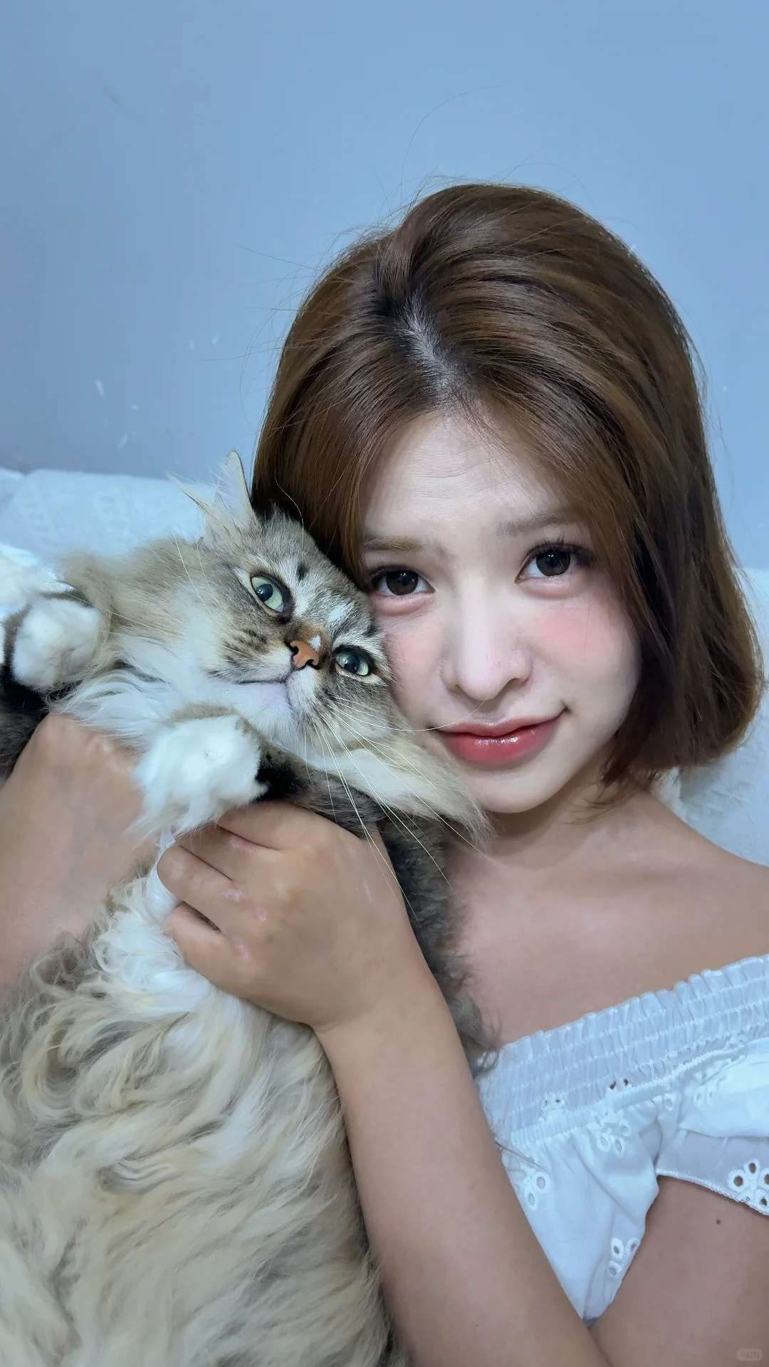 dazz也可以拍实况了诶