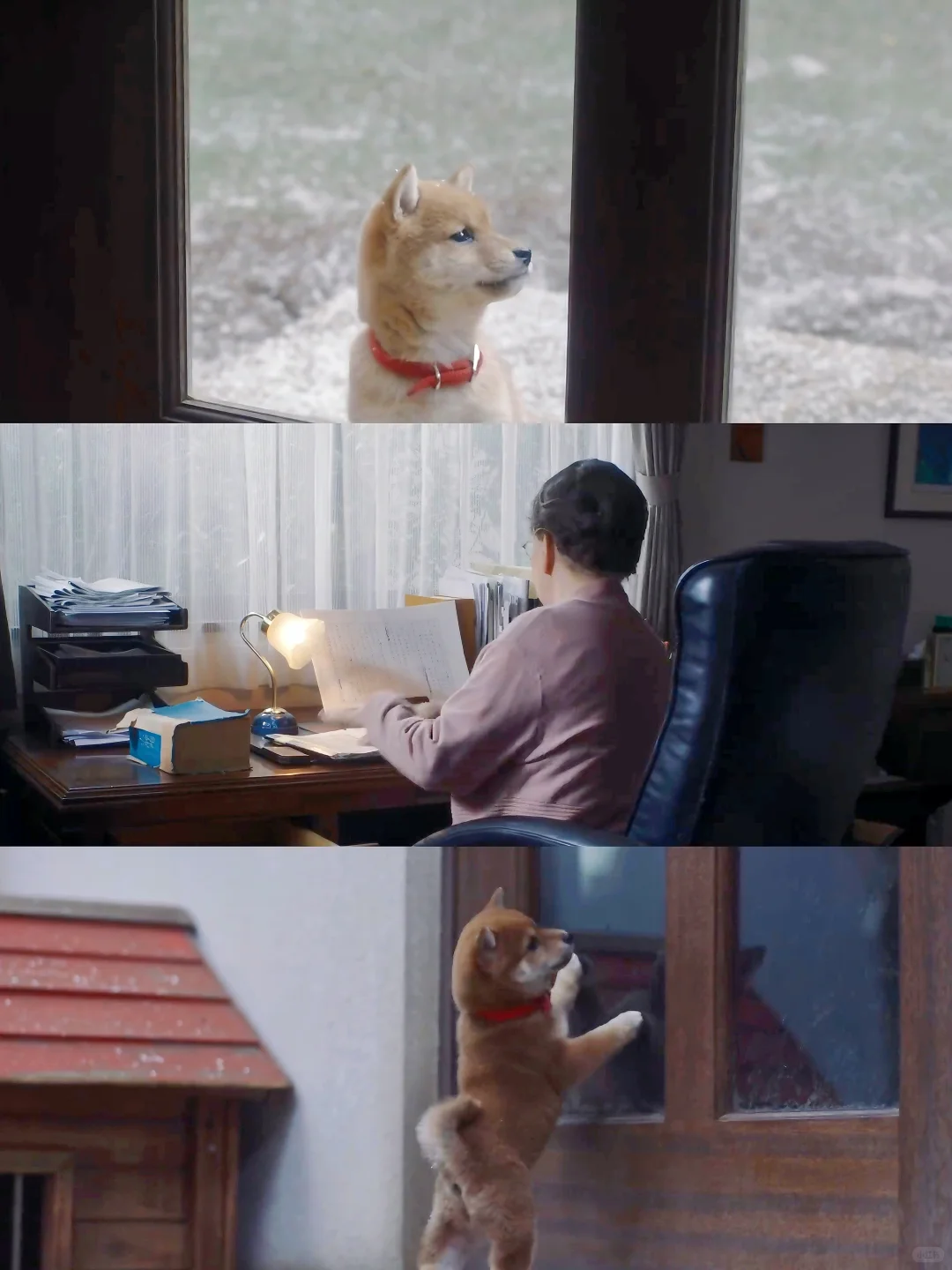 感到焦虑都去看这部电影‼️‼️