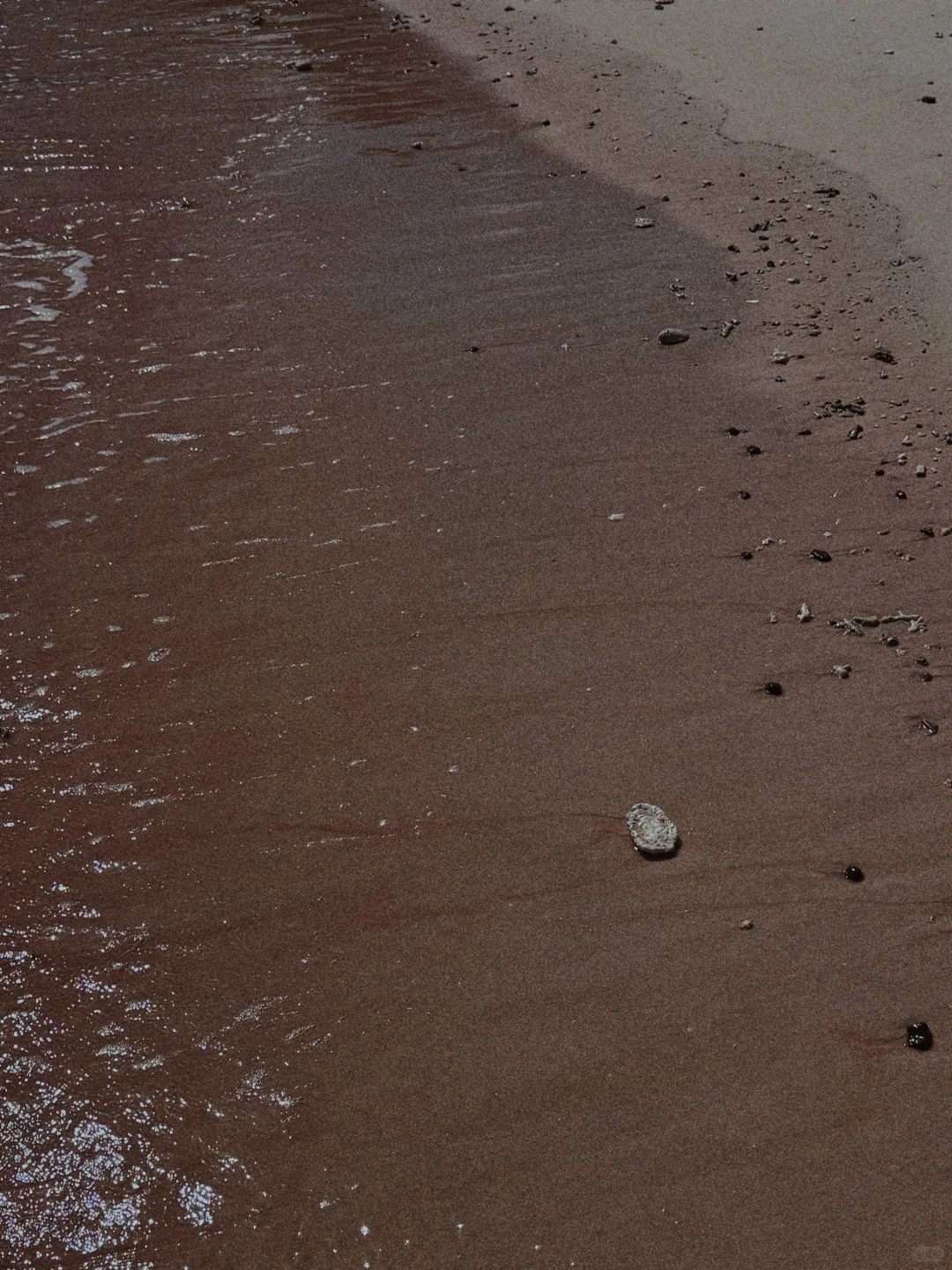 这滤镜像是做了一场梦：