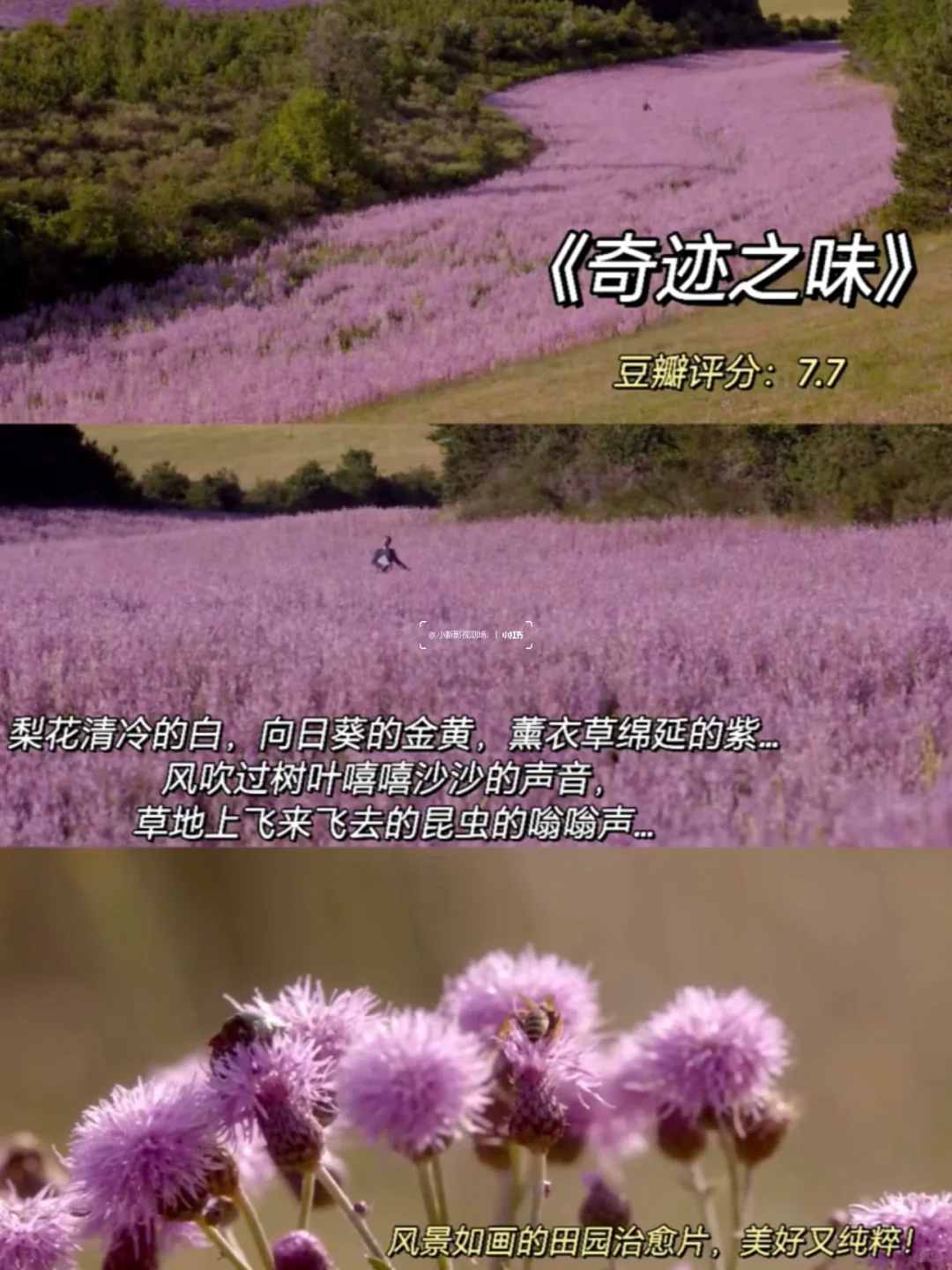 💊周末8部封神治愈片！专治EMO焦虑💖