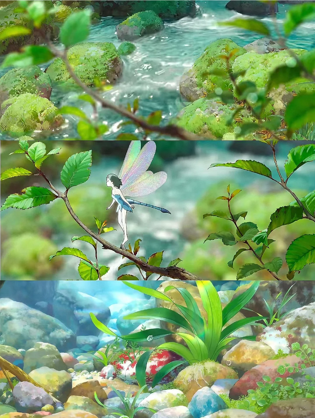 挖到意外宝藏啦💯一整个被治愈住了😭