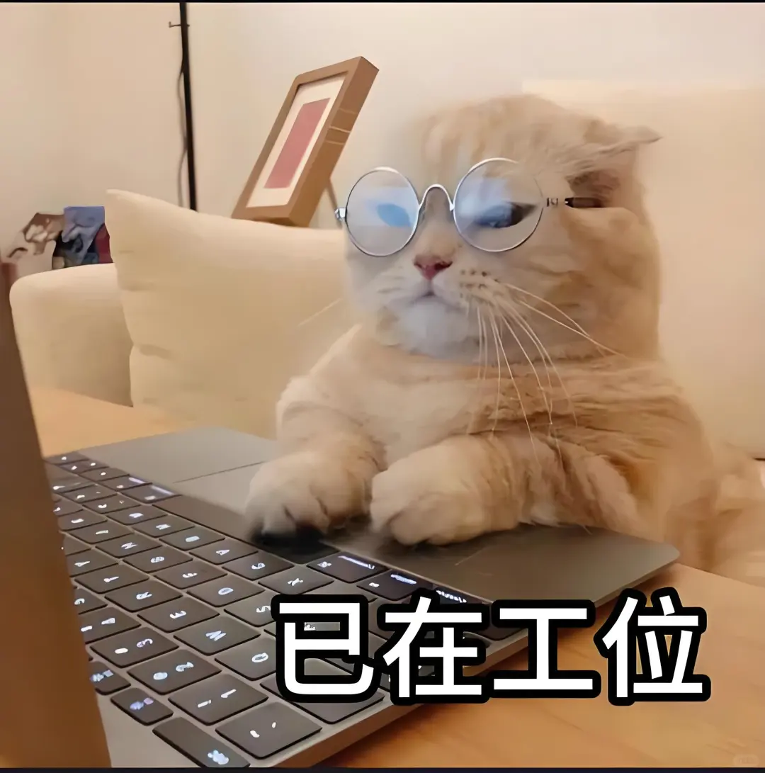 小程序/网站/App/脚本/代做