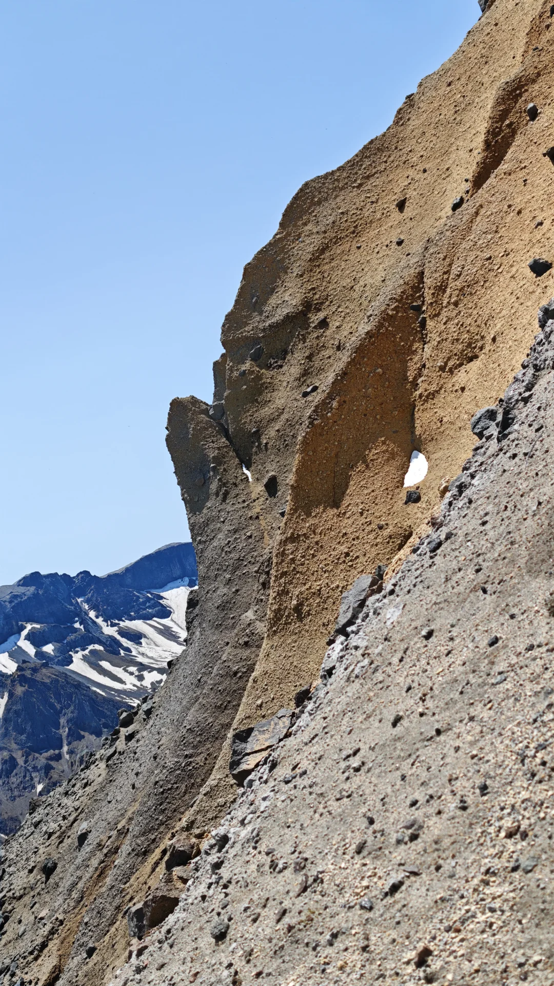 最近很满意的手机拍摄照片分享