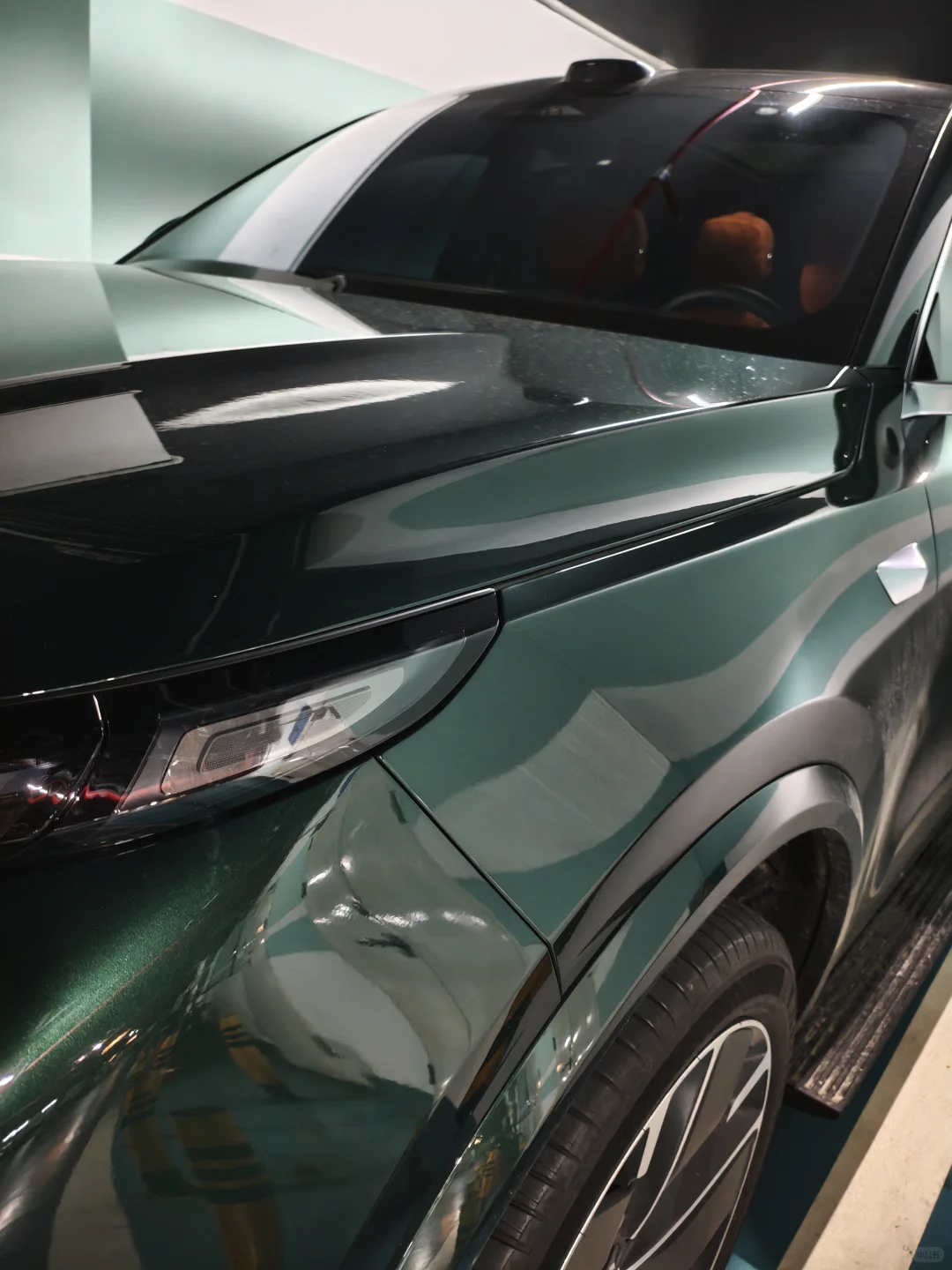 小理同学满月拉