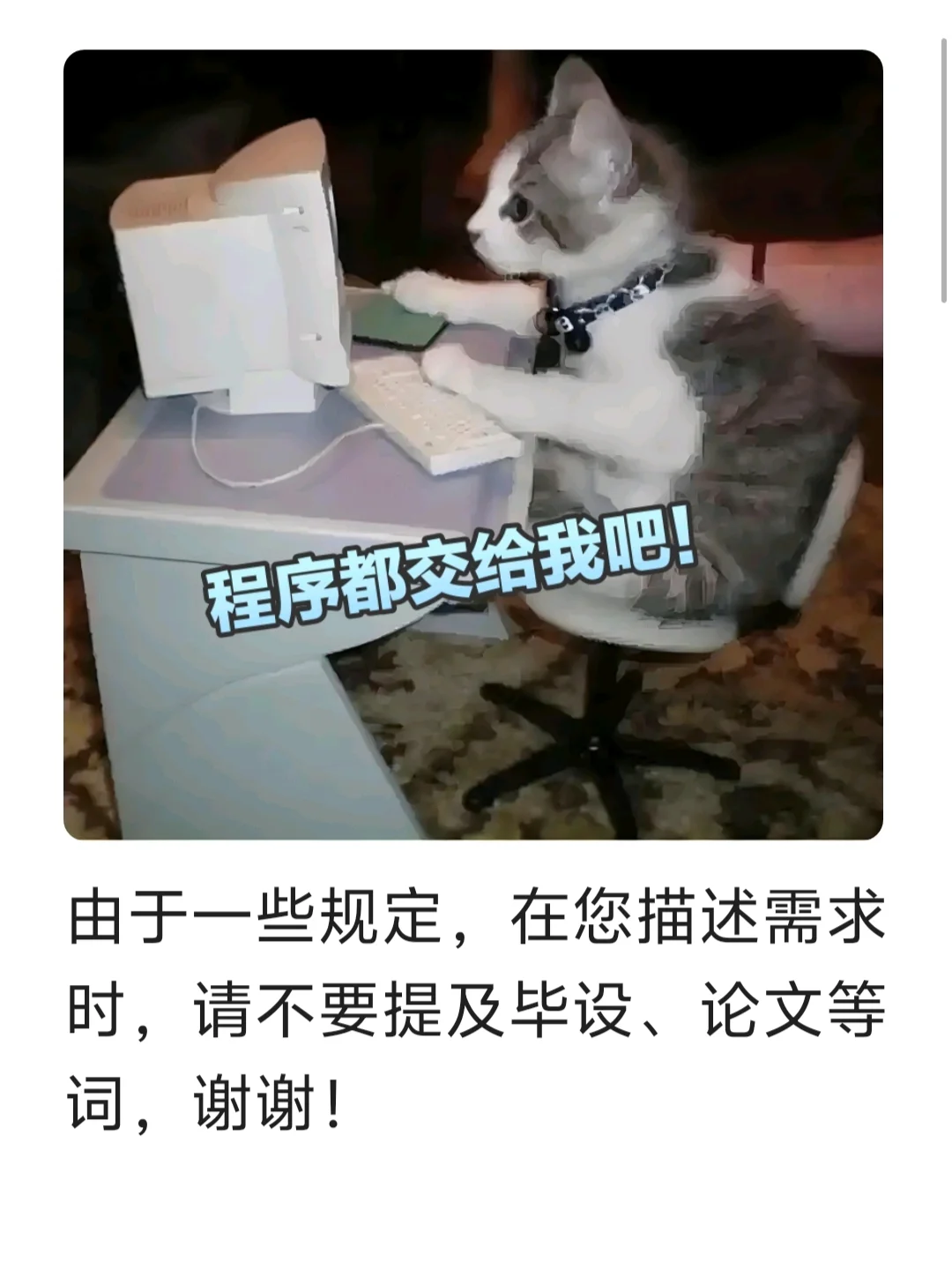 小程序/网站/App/脚本/代做