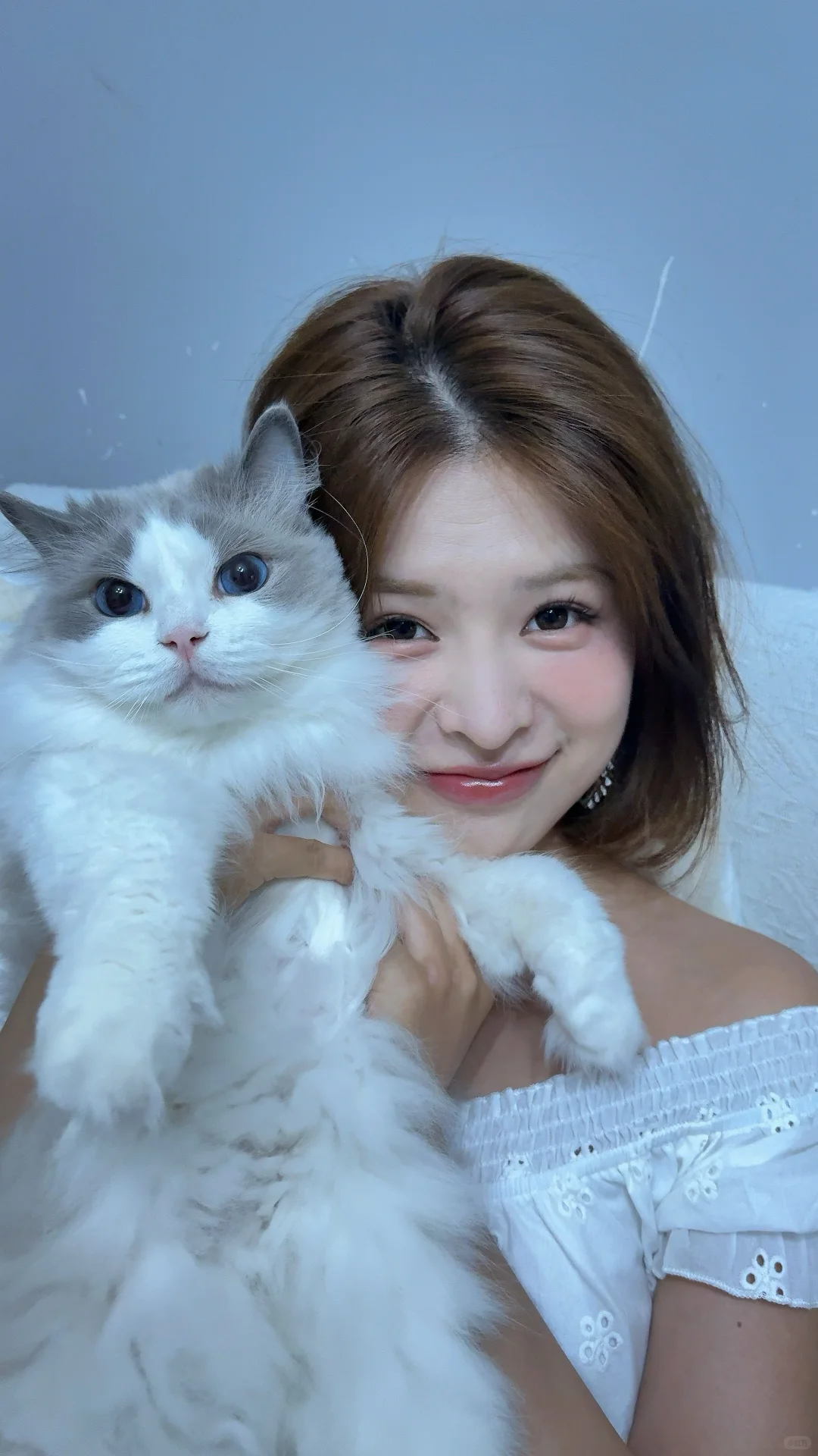 dazz也可以拍实况了诶