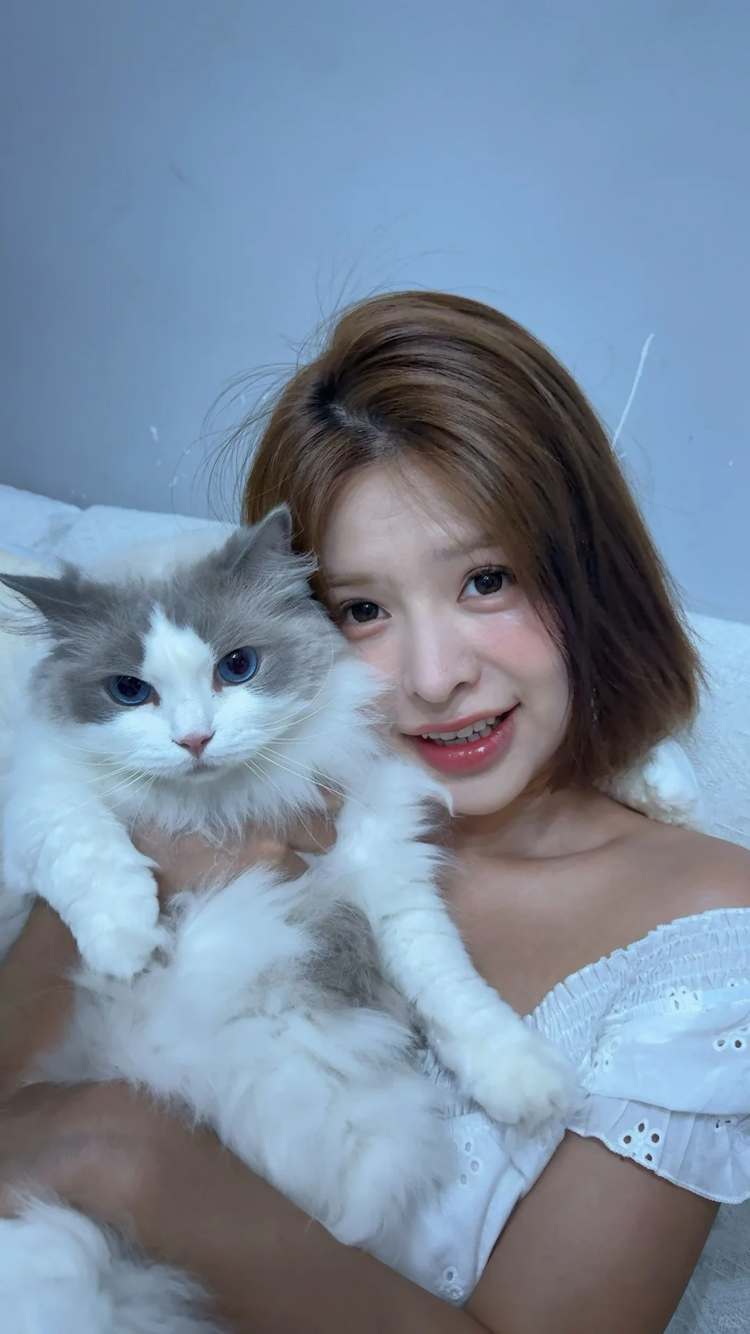 dazz也可以拍实况了诶