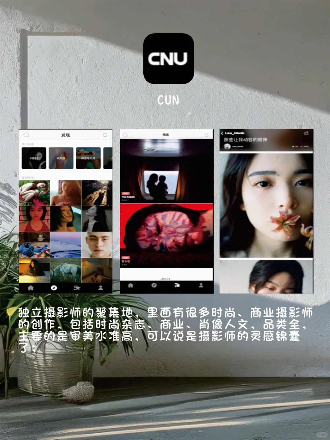 打死不卸载,6个冷门又好用的APP