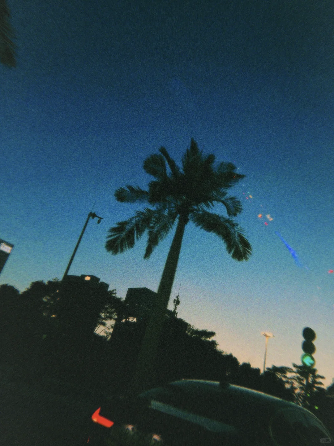 这滤镜像是做了一场梦：