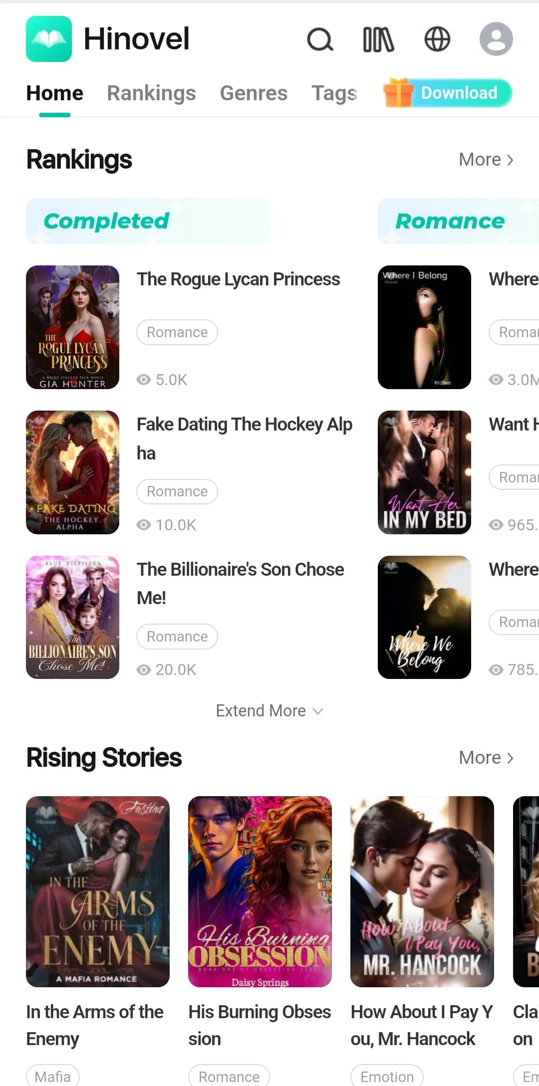 做一款海外小说app需要多少钱