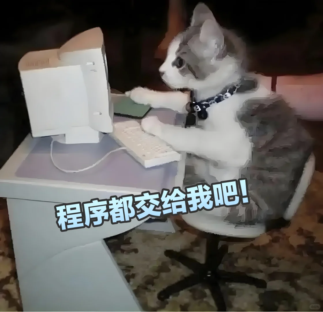 程序员🐱 接脚本定制/小程序开发