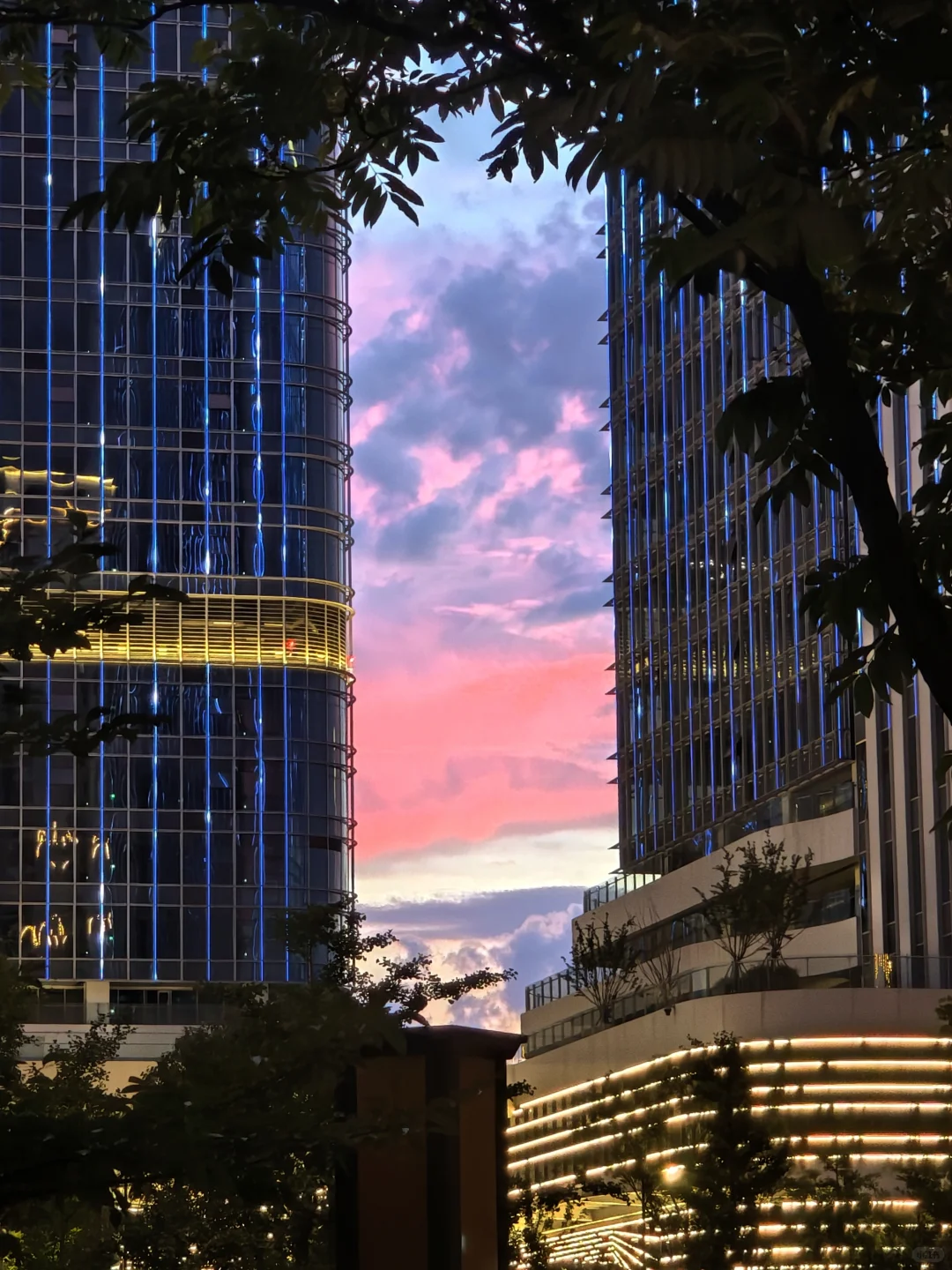 最近很满意的手机拍摄照片分享