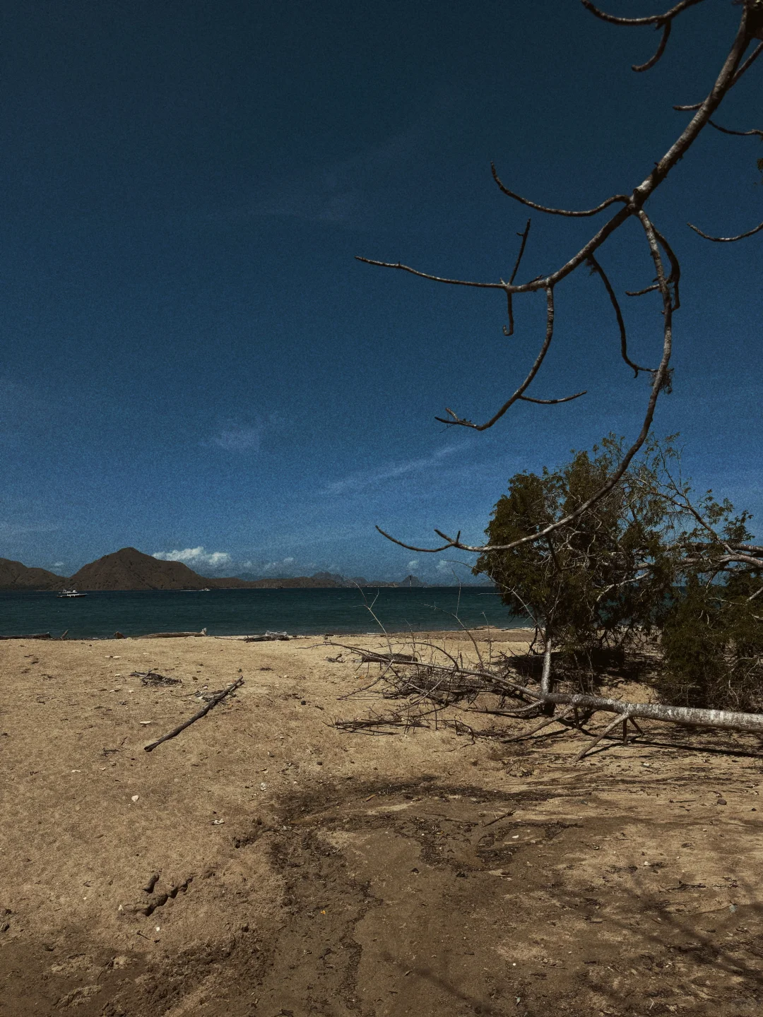 这滤镜像是做了一场梦：