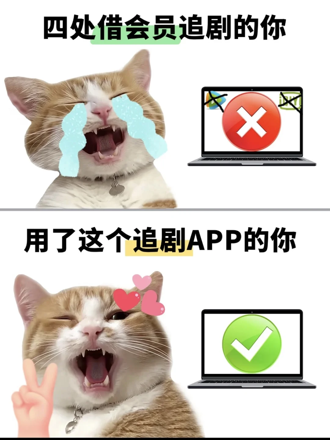 发不过来啦！！！！