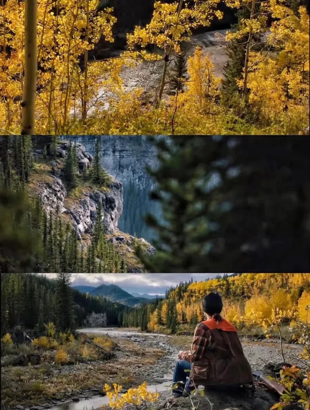 目前为止最爱的人生电影，没有之一❗❗❗ 👍