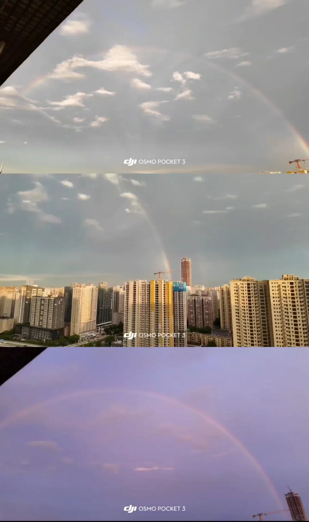 pocket3安卓实况live图三拼，三软件对比图