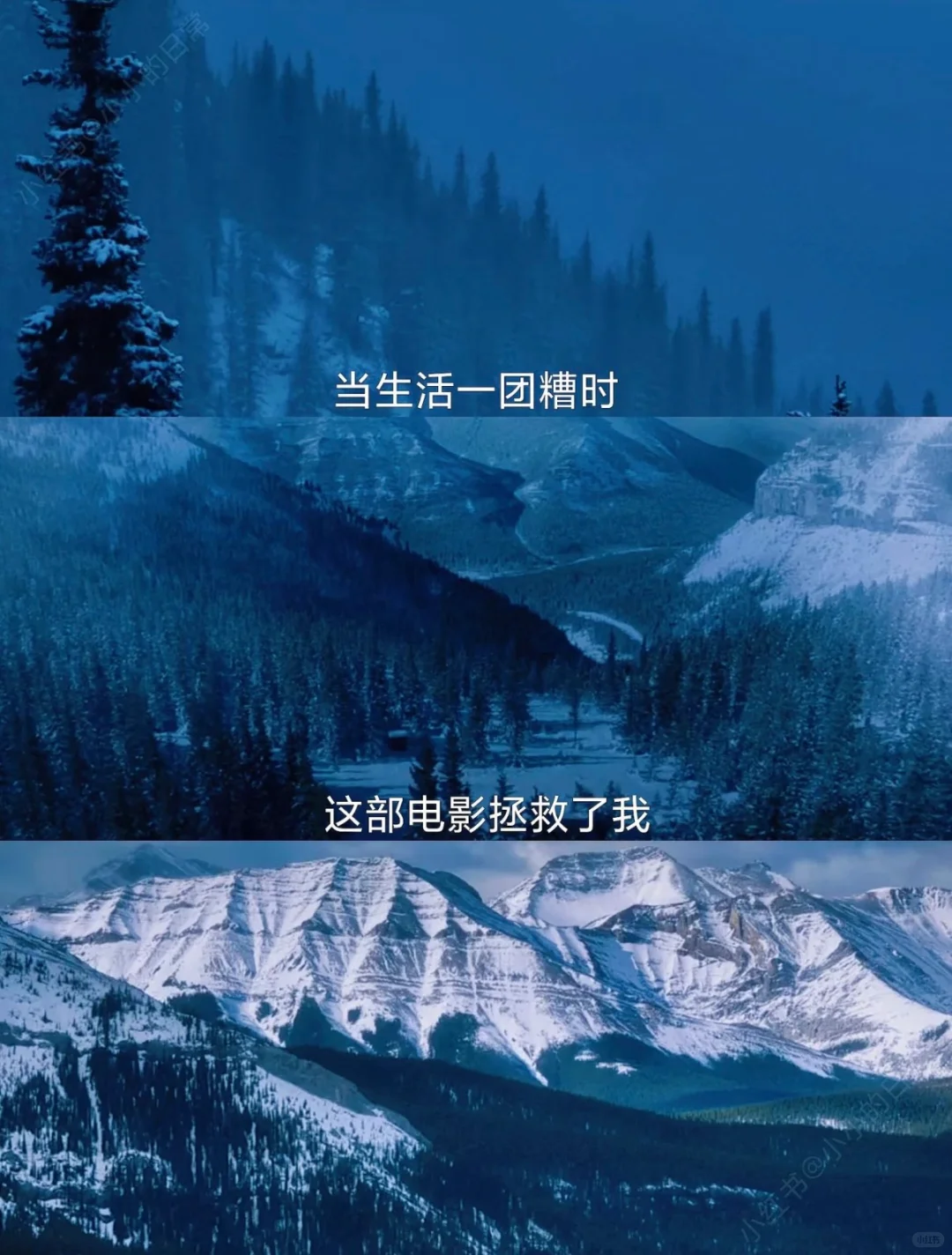 目前为止最爱的人生电影，没有之一❗❗❗ 👍