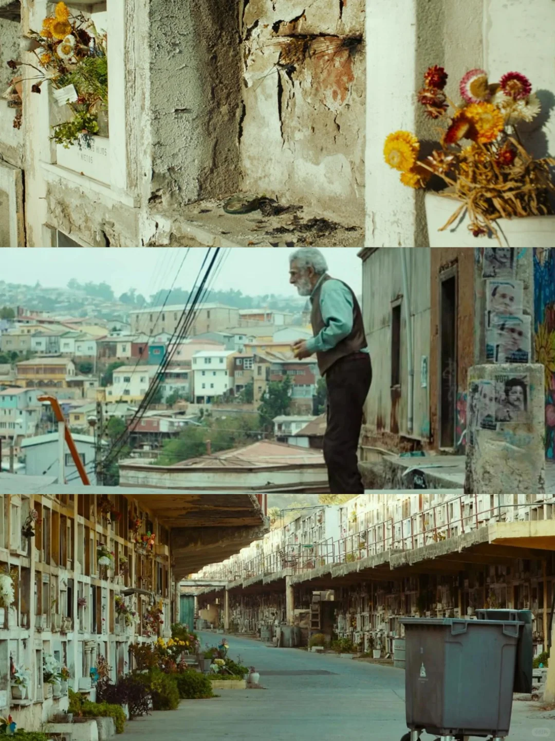 太震撼了❗向全世界推荐这部电影❗巨巨好看