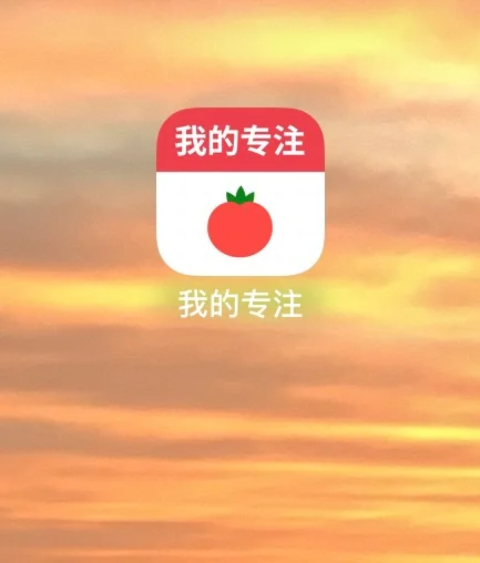 再也不怕被查手机了！