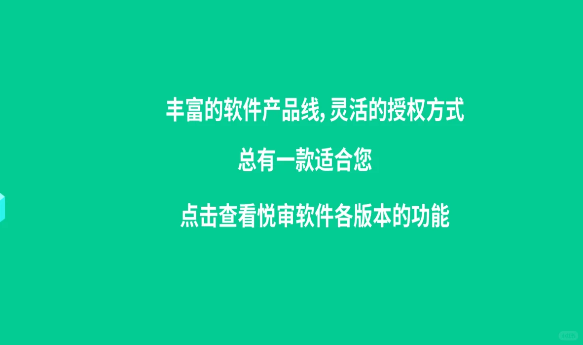 悦审软件——报告编排工具自动化软件